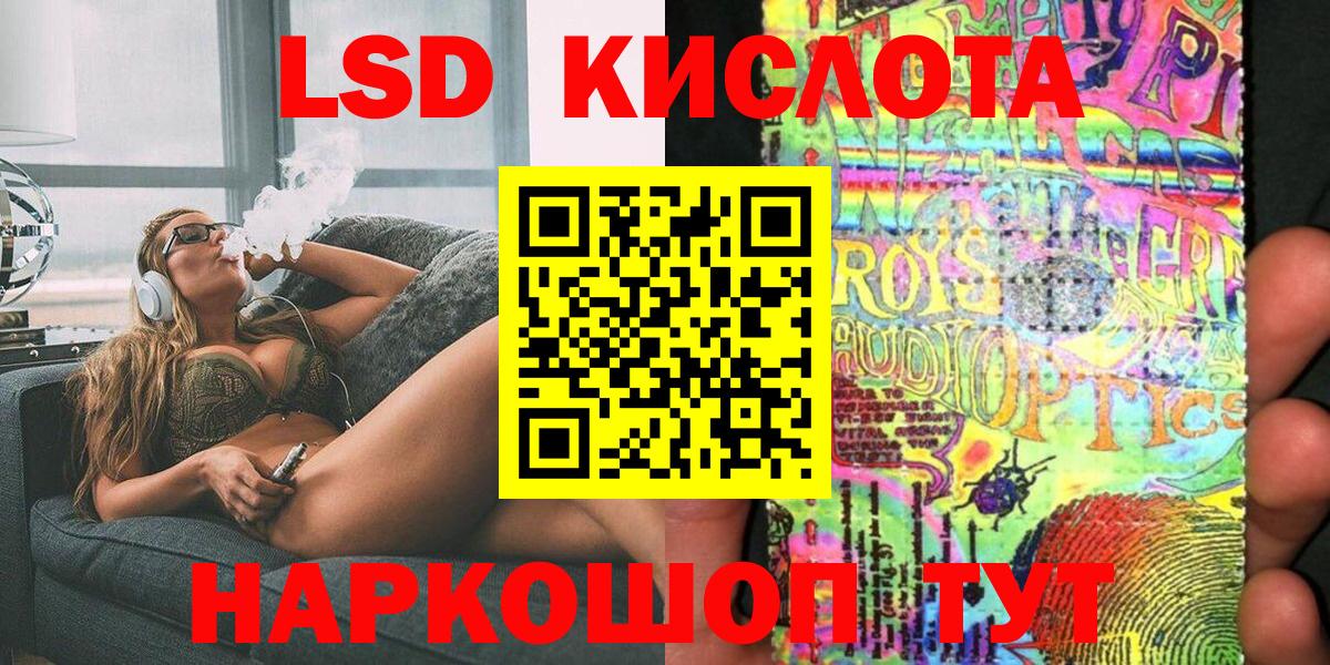 Псилоцибиновые грибы Кировск
