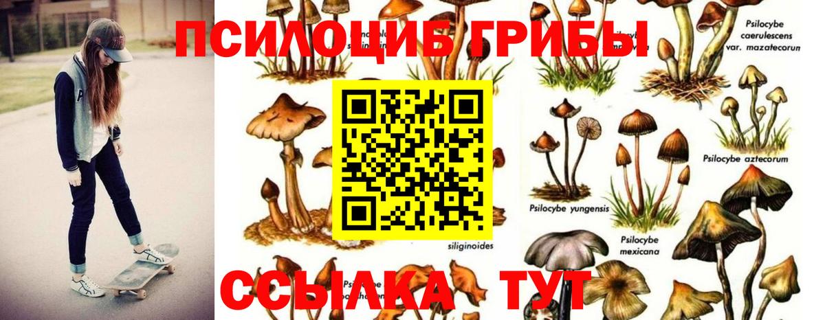 Псилоцибиновые грибы ЛСД Кировск