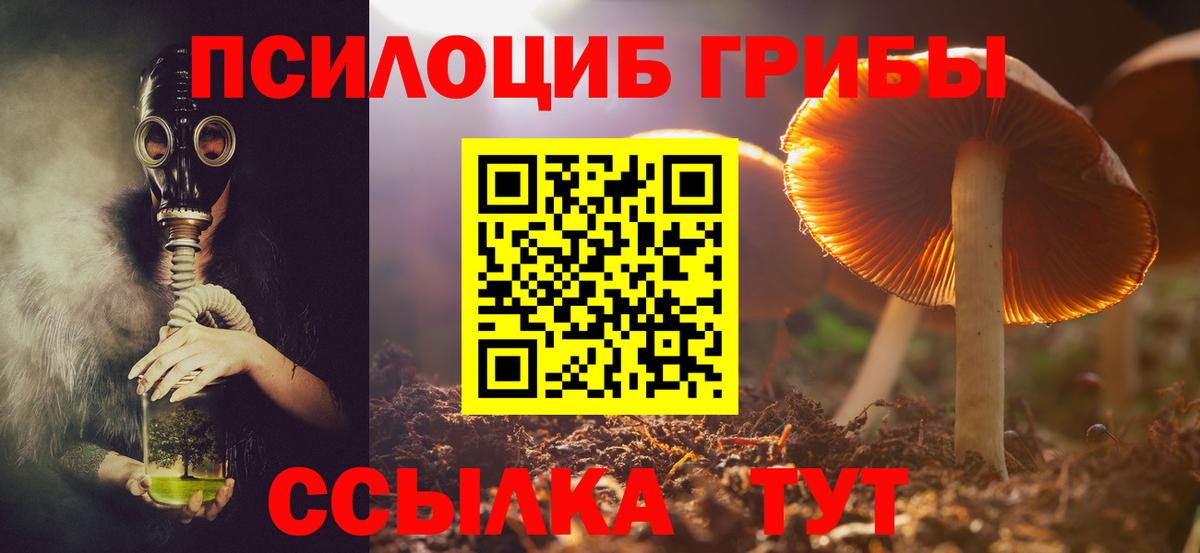 Галлюциногенные грибы Cubensis  Псилоцибиновые грибы мухоморы  Вход с VPN  Кировск 